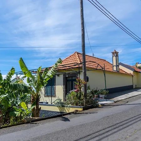 Sleep Among The Bananas! Rustic With Trails At Your Doorstep *