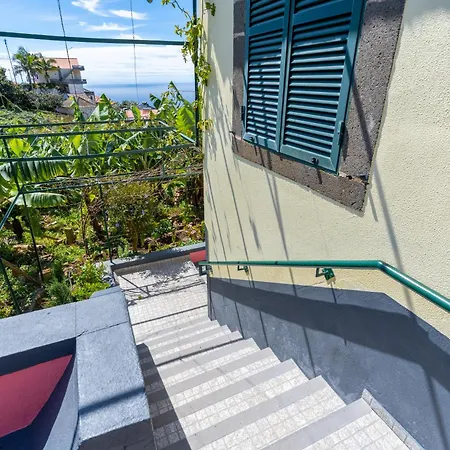 Sleep Among The Bananas! Rustic With Trails At Your Doorstep بيت للعطل