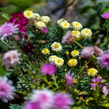 Casa de Férias Sleep Among The Bananas! Rustic With Trails At Your Doorstep