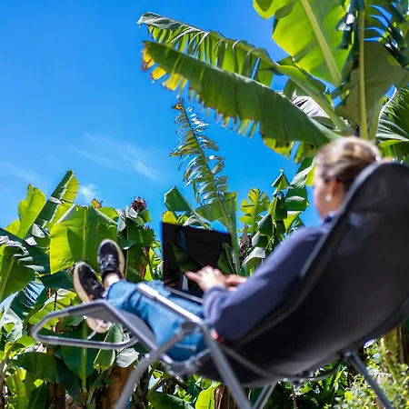 Sleep Among The Bananas! Rustic With Trails At Your Doorstep