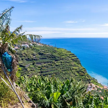 Sleep Among The Bananas! Rustic With Trails At Your Doorstep Vakantiehuis