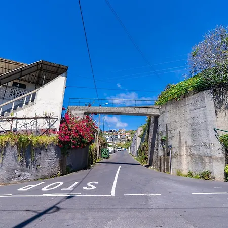 Sleep Among The Bananas! Rustic With Trails At Your Doorstep Ponta do Sol