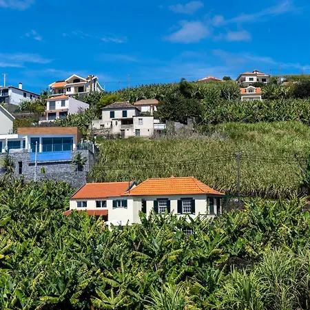 Sleep Among The Bananas! Rustic With Trails At Your Doorstep Ferienhaus *