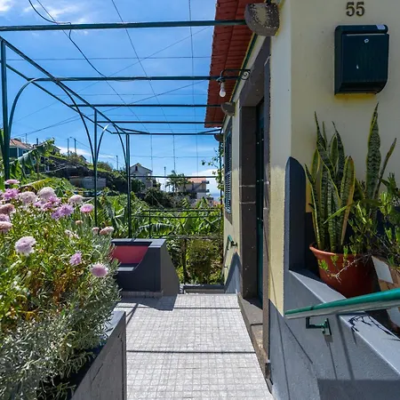 Vakantiehuis Sleep Among The Bananas! Rustic With Trails At Your Doorstep