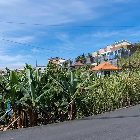 Sleep Among The Bananas! Rustic With Trails At Your Doorstep Ferienhaus Ponta do Sol (Madeira)
