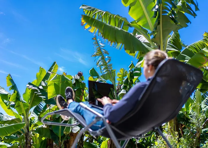 Sleep Among The Bananas! Rustic With Trails At Your Doorstep