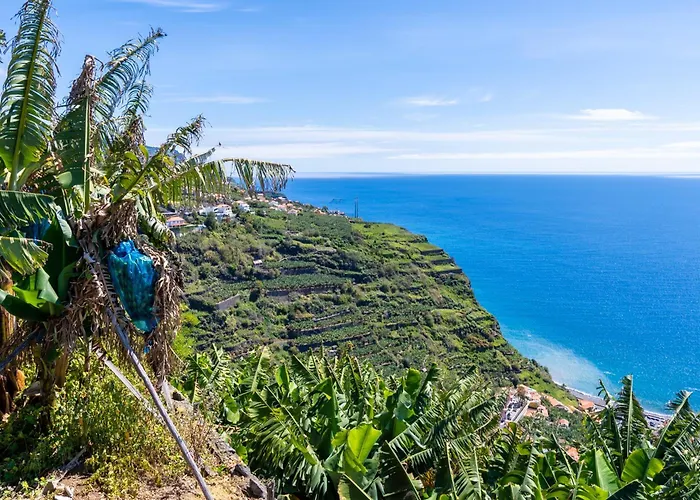 Sleep Among The Bananas! Rustic With Trails At Your Doorstep 度假居