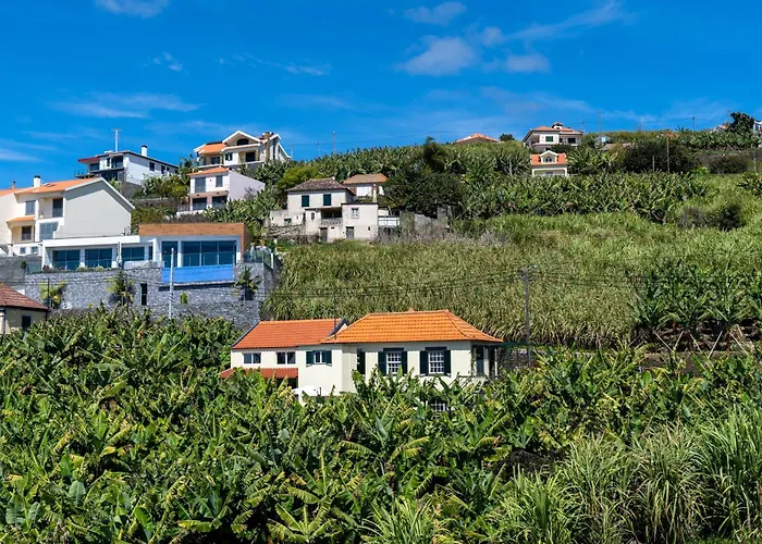 Sleep Among The Bananas! Rustic With Trails At Your Doorstep Casa de Férias *