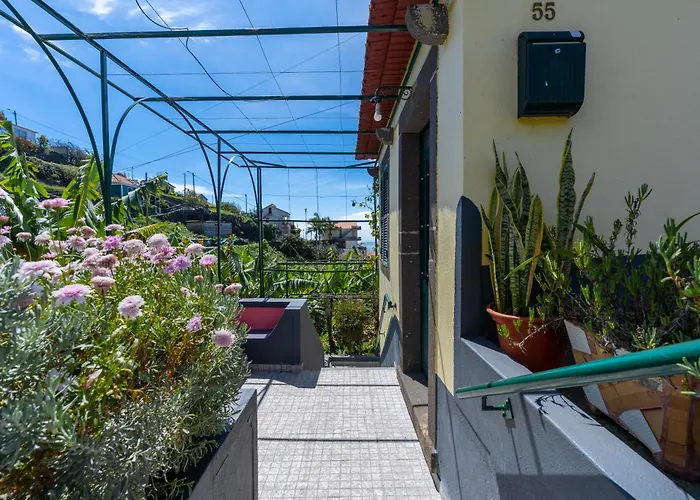 度假居 Sleep Among The Bananas! Rustic With Trails At Your Doorstep