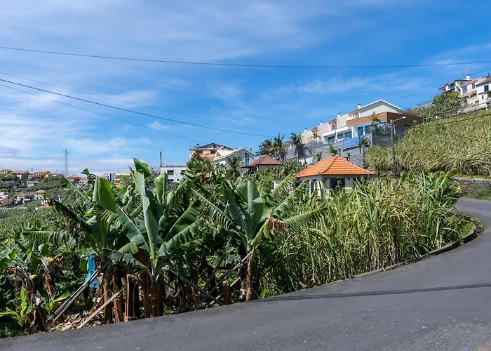 Sleep Among The Bananas! Rustic With Trails At Your Doorstep Casa de Férias Ponta do Sol (Madeira)