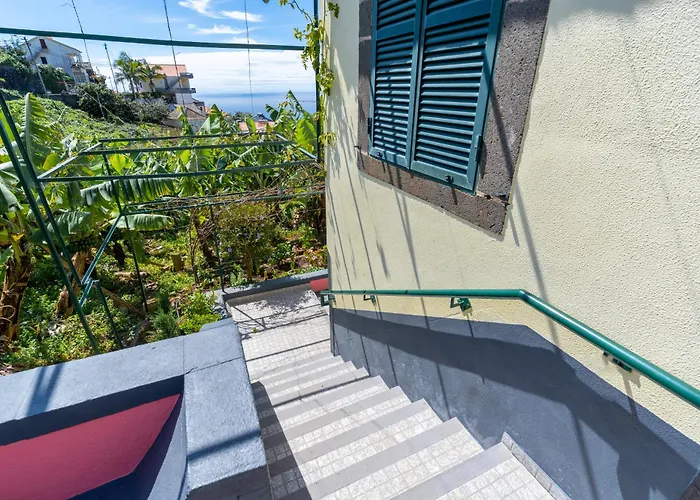 Sleep Among The Bananas! Rustic With Trails At Your Doorstep 度假居