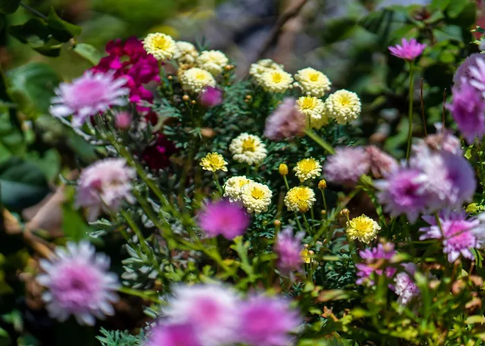 度假居 Sleep Among The Bananas! Rustic With Trails At Your Doorstep